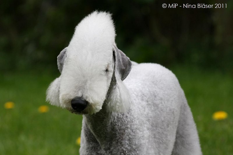 2011-04-23 Quincy etc (3).jpg